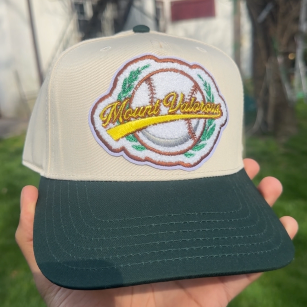 Mount Valorous Chenile Snapback