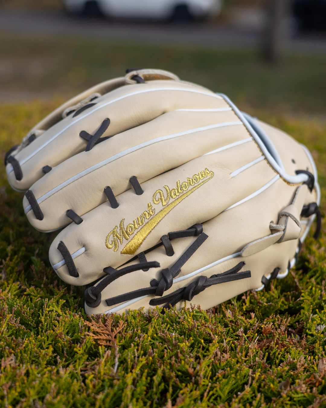 SUNA-818 H Web