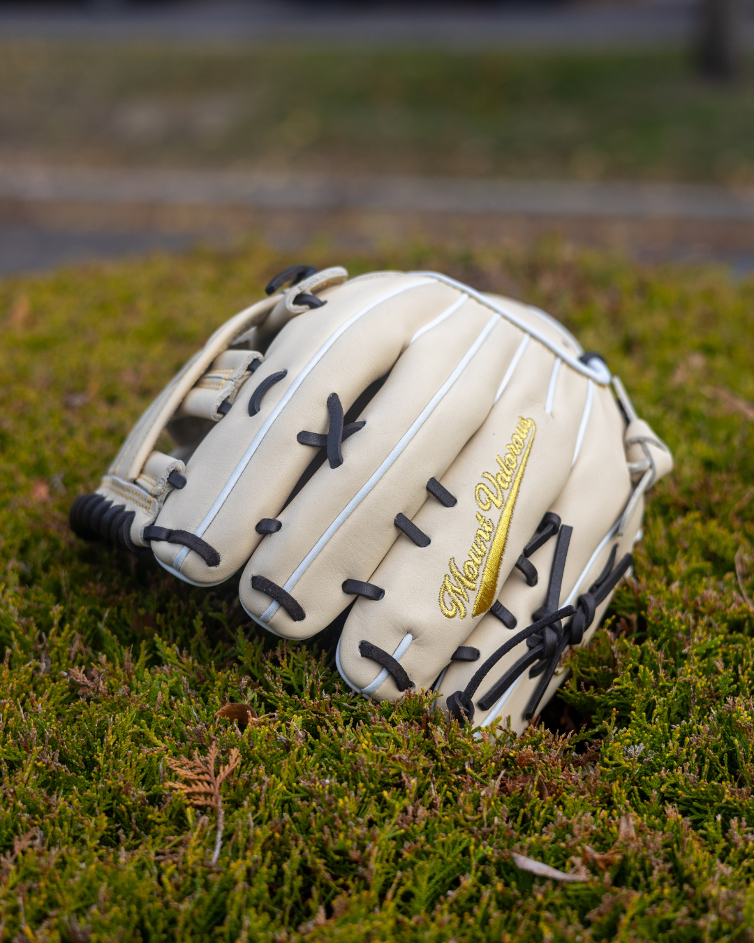 SUNA-818 H Web